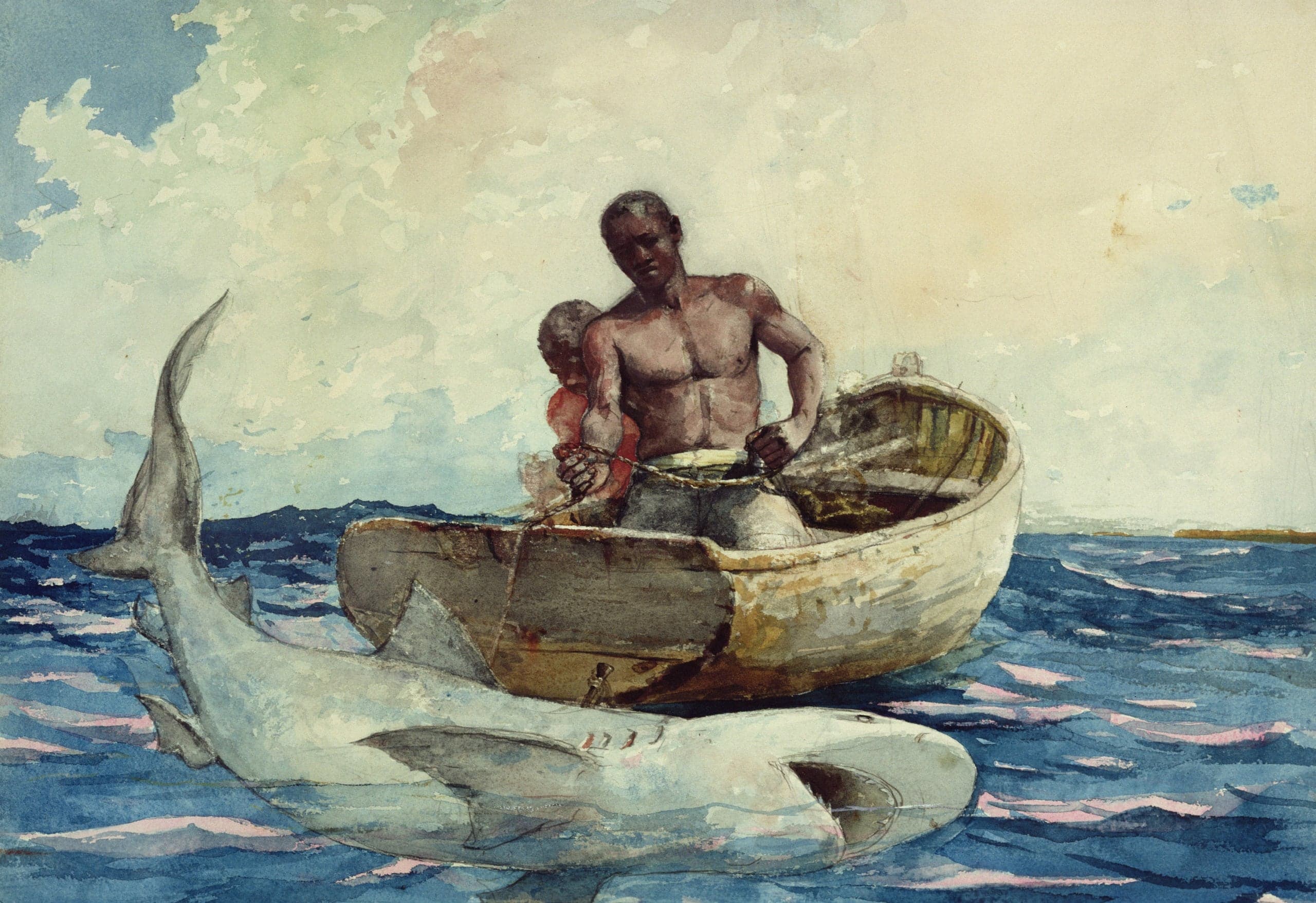 Pêche au requin